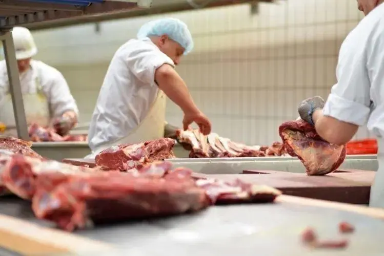 meat car supplier