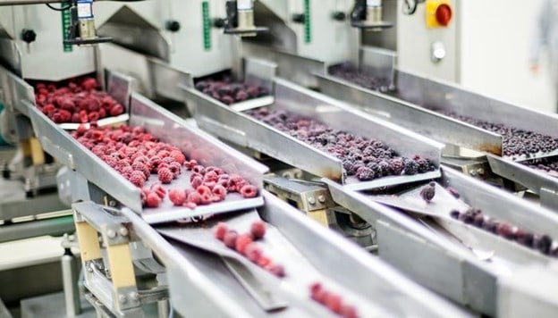 meat chopper manufacturer